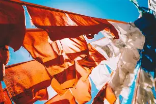 啽!h葚?幡摶鐒噽楃L詷W饮]$篞R蝇謄w?o*b<aa?C塋攓i的简单介绍